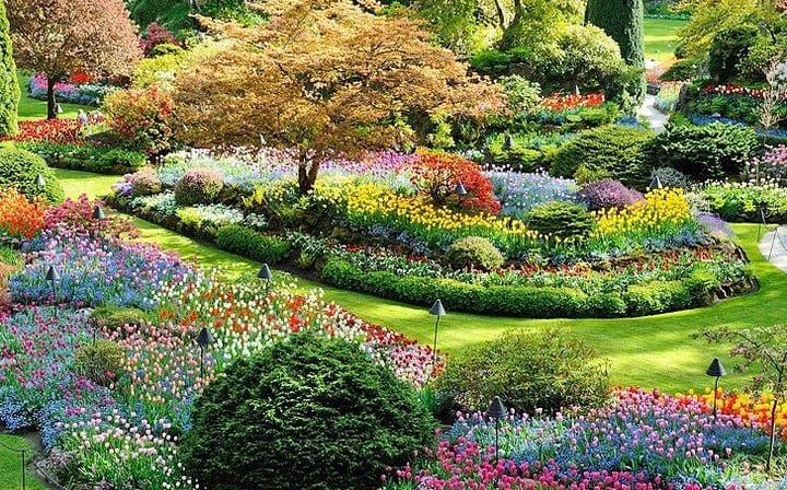 Victoria Butchart Garden
