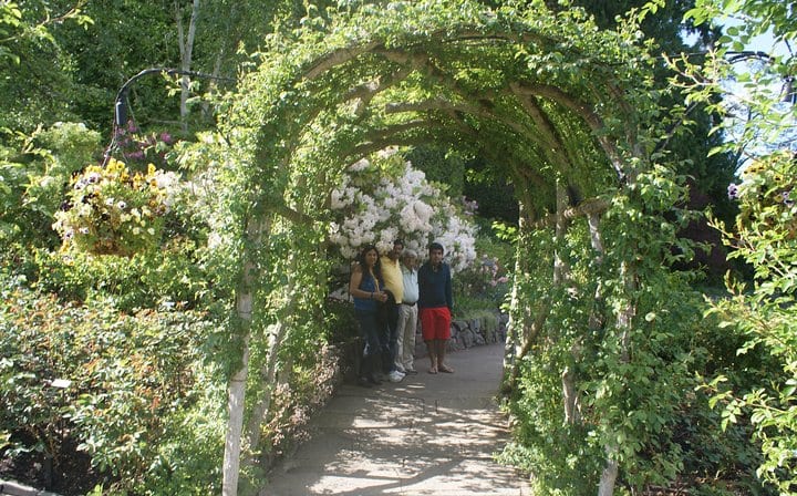 Butchart garden