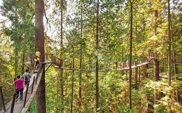 Capilano Suspenshion Park