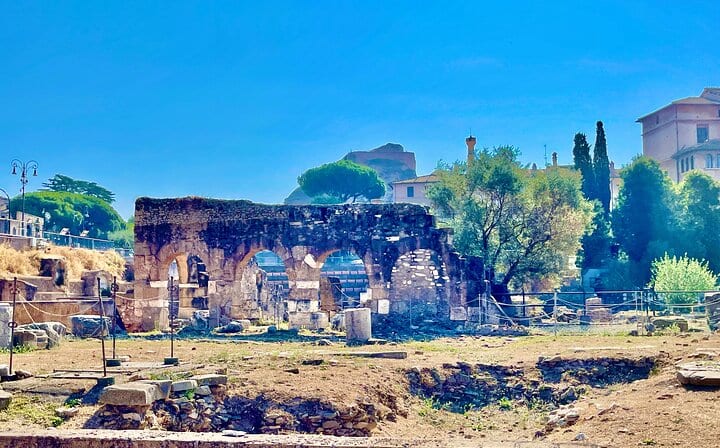 Colosseum, Roman Forum, Palatine Hill, and Panoramic Views Tour