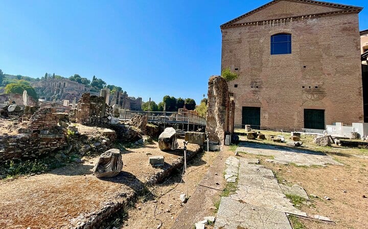 Colosseum, Roman Forum, Palatine Hill, and Panoramic Views Tour