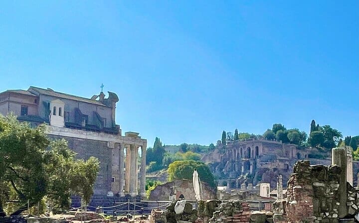Colosseum, Roman Forum, Palatine Hill, and Panoramic Views Tour