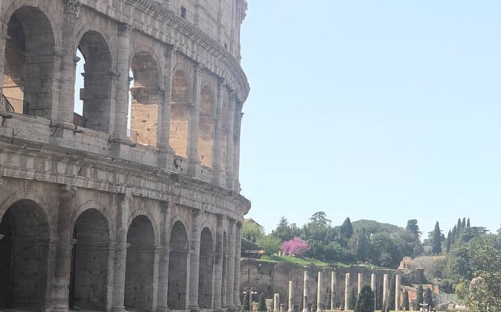 Colosseum, Roman Forum, Palatine Hill, and Panoramic Views Tour