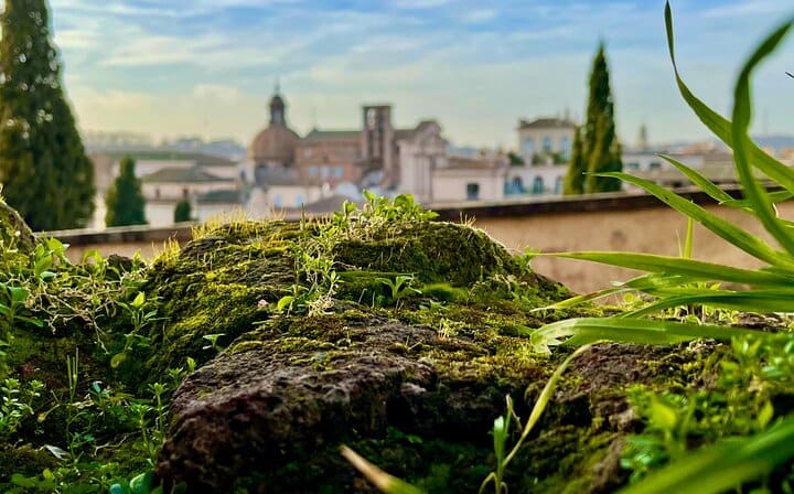 Capitoline Museum, Michelangelo square and panoramic views of Rome