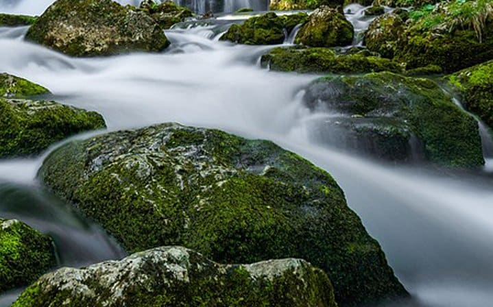Bishnu Dwar (Shivapuri) Hike From Kathmandu