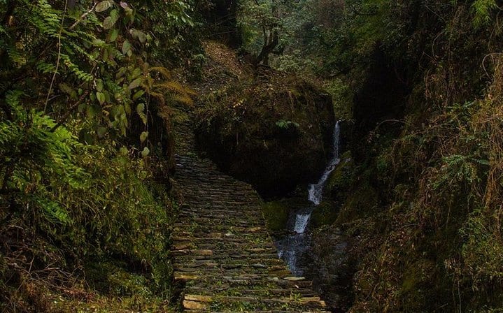 Bishnu Dwar (Shivapuri) Hike From Kathmandu