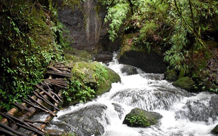 Bishnu Dwar (Shivapuri) Hike From Kathmandu