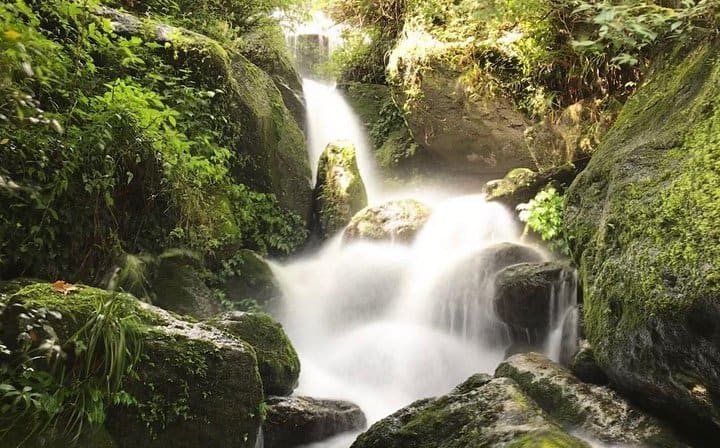 Bishnu Dwar (Shivapuri) Hike From Kathmandu