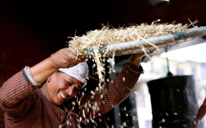 A women Separating chaff in Bungamati Village.
