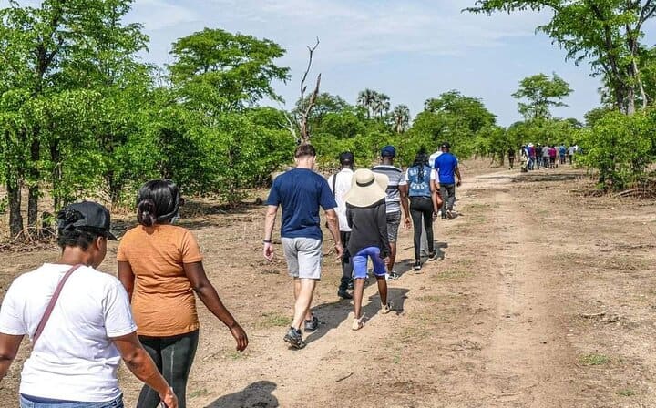 Rhino Walking Safari,Mosi oa Tunya National Park- Livingstone Zambia
