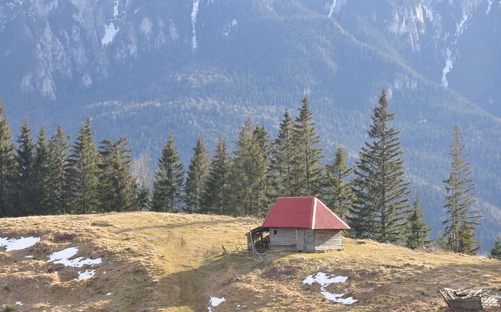 Old sheep farm