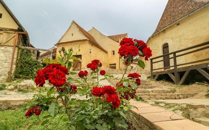 Rasnov Fortress