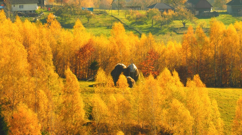 Autumn season in mountain villages from Romania