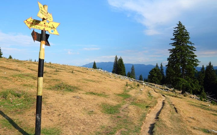 Small-Group Active Trekking Day Trip to Piatra Craiului National Park from Brasov