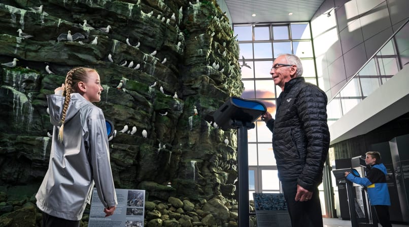 Látrabjarg seabird cliff at Wonders of Iceland exhibition