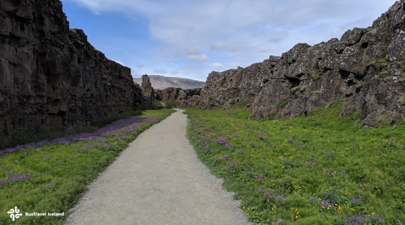 Walk between two tectonic plates in Thingvellir