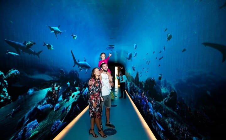Enjoy interactive aquarium tunnels and floor mapping, and explore the history behind this worldfamous landmark