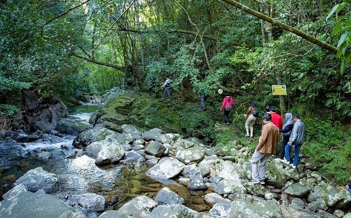 Bach Ma National Park Trekking Tour 1 Day From Hue City