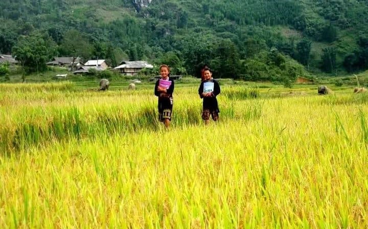 Overnight_Train_Hanoi_To_Sapa_Or_Return
