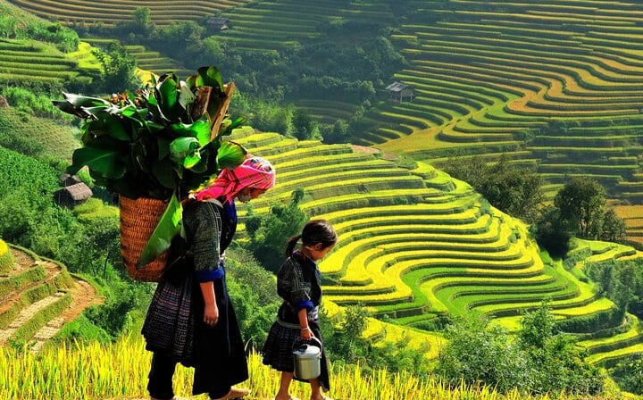 Hanoi To Sapa Bus Transfer or Return
