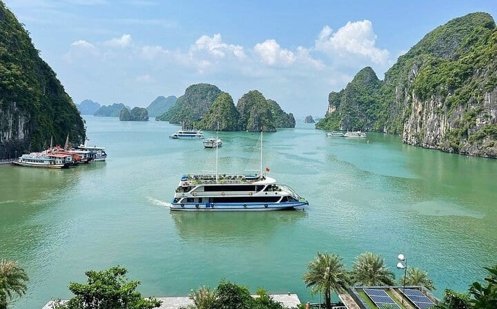 La Casta Cruise 5 Star Cruise Halong Bay 1-Day Tour from Harbor
