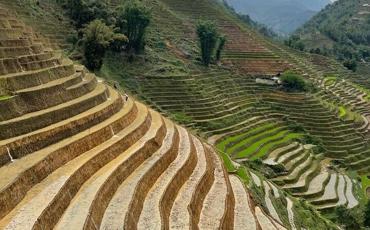 Sapa Private 3 Day Tour: Rice Terrace Fields & Ethnic villages