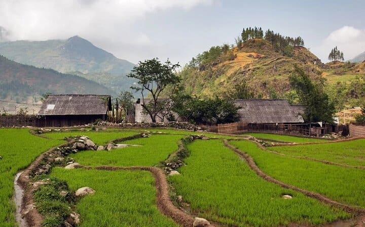 2-Day Trekking Adventure of Sapa from Hanoi with Night Bus
