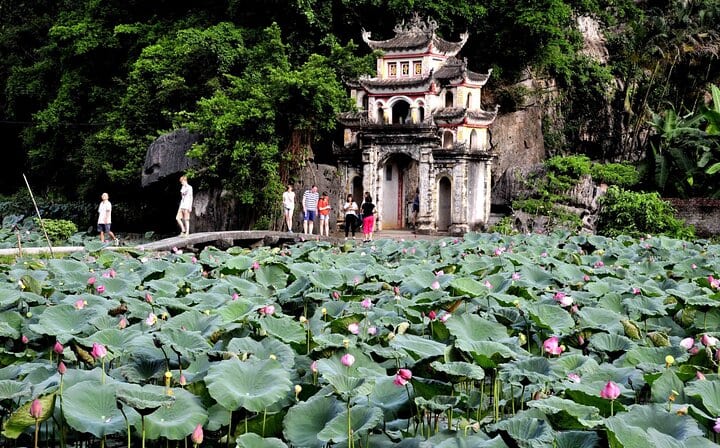 Ninh Binh Day Tour by Luxury Transfer from HANOI (Group of 9)
