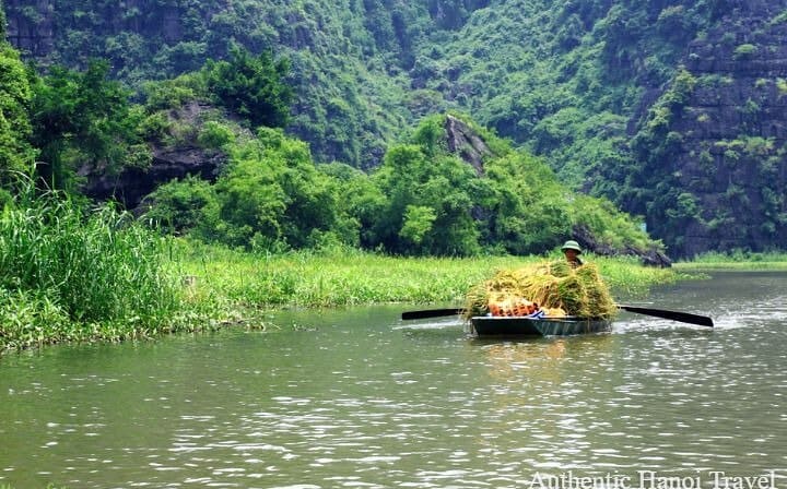 Small Group & Full Day Hoa Lu Tam Coc Mua Cave Tour( Full Inclusions )