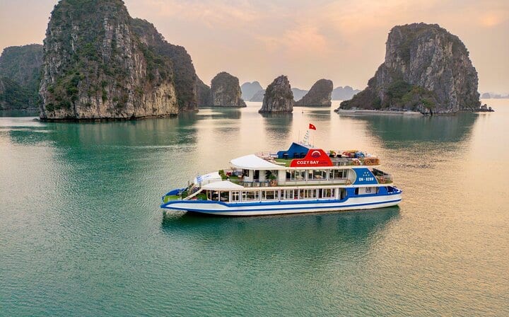 Cozy Bay Cruise 5 Star Halong Day Trip,Buffet Lunch,Cave & Island