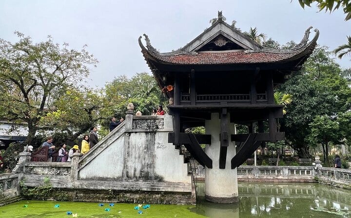 Best Hanoi City Tour Full Day with Lunch and Experienced Guide