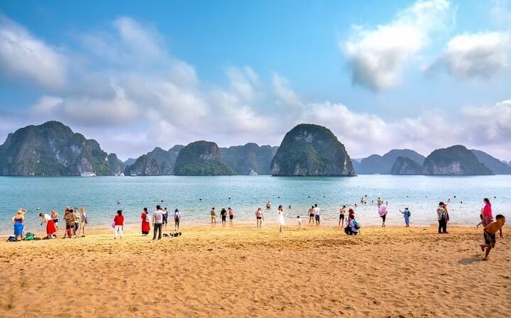 Cozy Bay Cruise 5 Star Halong Day Trip,Buffet Lunch,Cave & Island
