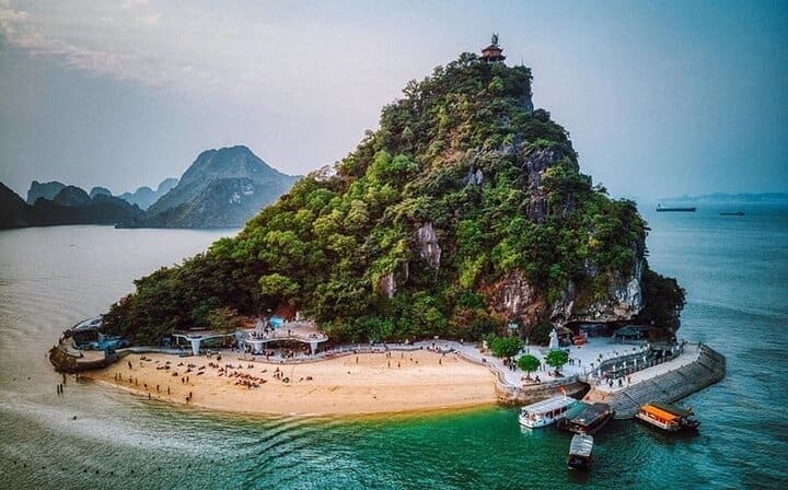 Cozy Bay Cruise 5 Star Halong Day Trip,Buffet Lunch,Cave & Island