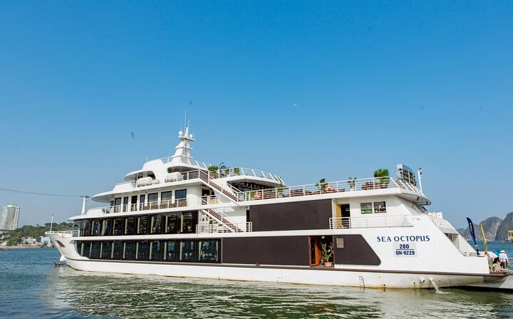 Sea Octopus-Luxury 5 Star Halong Day Cruise with Pick up/Drop off