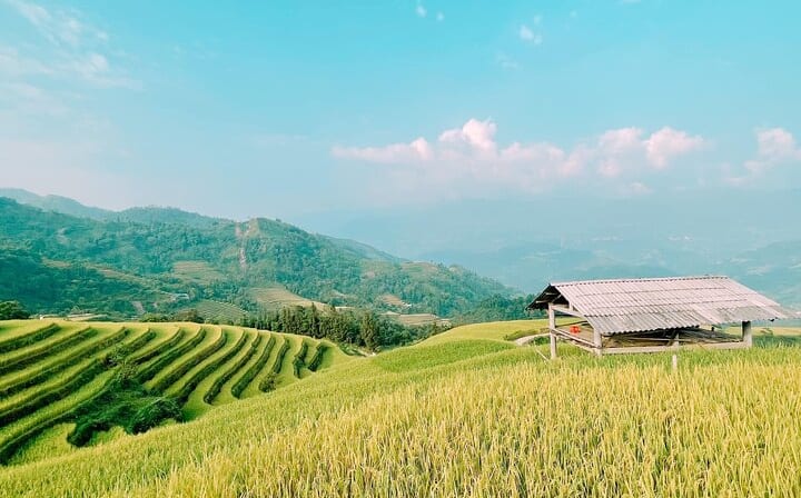 5-Day Private Tour of Ha Giang and Hoang Su Phi from Hanoi By CAR