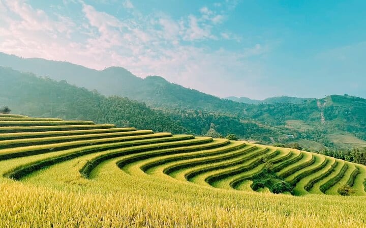 5-Day Private Tour of Ha Giang and Hoang Su Phi from Hanoi By CAR