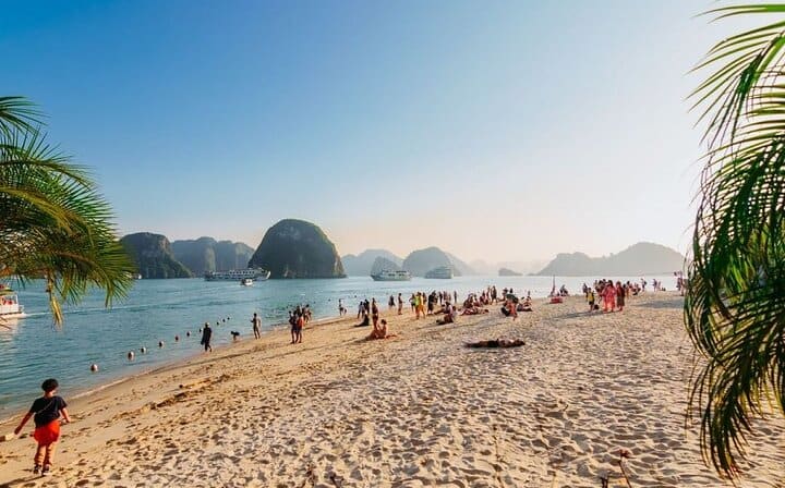 Cozy Bay Premium Cruise 6 Hours Explore Halong Bay FROM Harbor