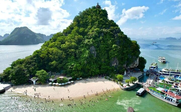Cozy Bay Premium Cruise 6 Hours Explore Halong Bay FROM Harbor