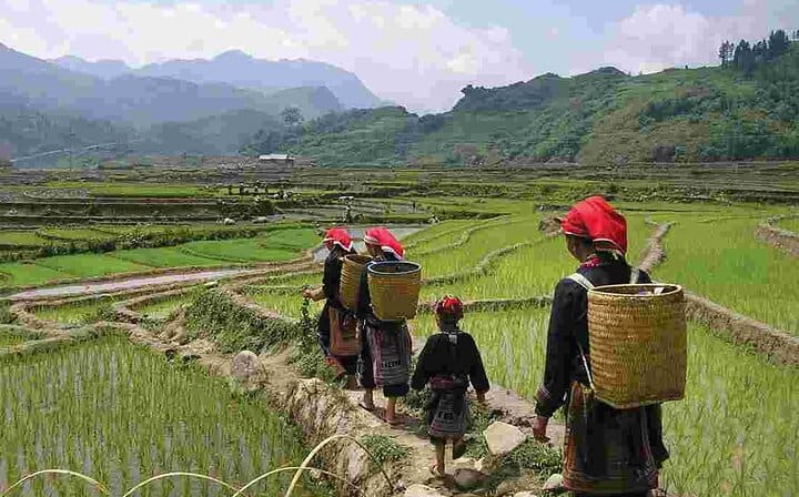 Sapa Amazing Trekking 2 Days 3 Nights from Hanoi by Train