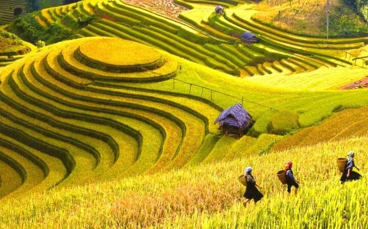 From Hanoi: Private Ha Giang & Hoang Su Phi 5 Days 4 Night