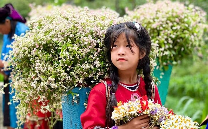 From Ha Giang: 6-Day Ba Be Lake, Cao Bang & Ha Giang Guided Tour