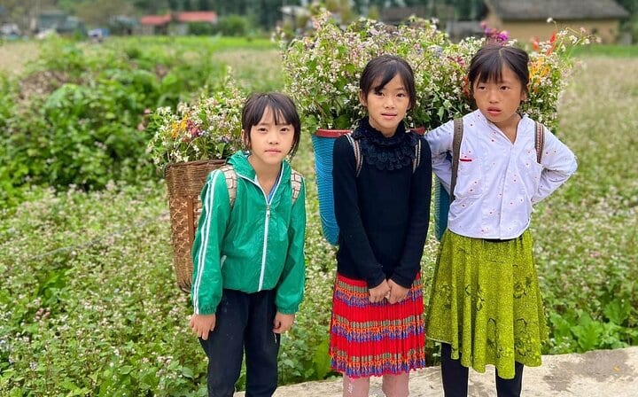 From Ha Giang: 6-Day Ba Be Lake, Cao Bang & Ha Giang Guided Tour
