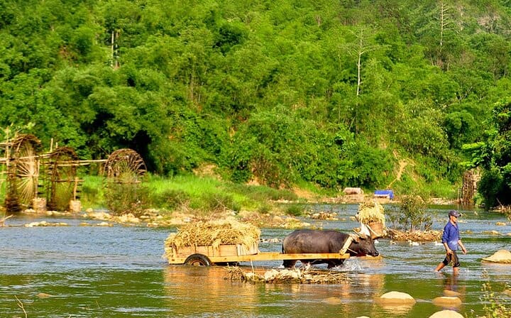 Off Road Trekking/ Biking Around Pu Luong Nature Reserv