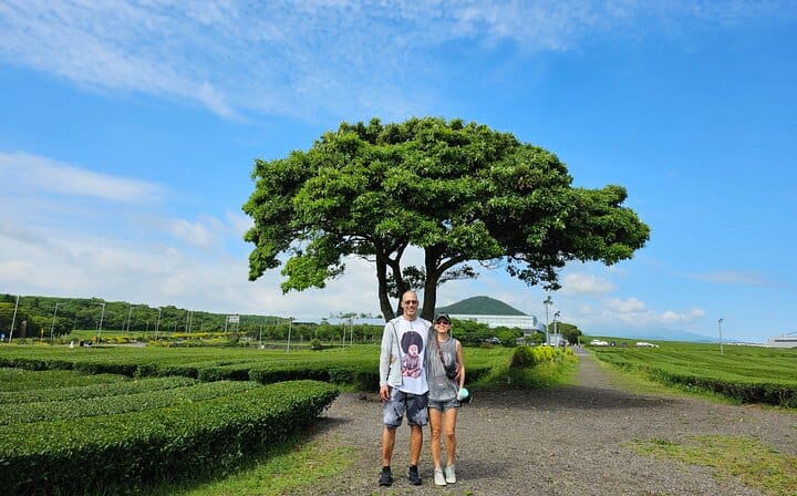 Osulloc Tea Museum, which is adjacent to the Seogwang tea field in Jeju, is the first tea museum in Korea opened in 2001 by AMOREPACIFIC to introduce and widely disseminate tea and Korean traditional