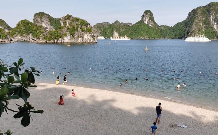 Halong Luxury Day Tour Start from Halong Bay with Meal,Cave,Beach