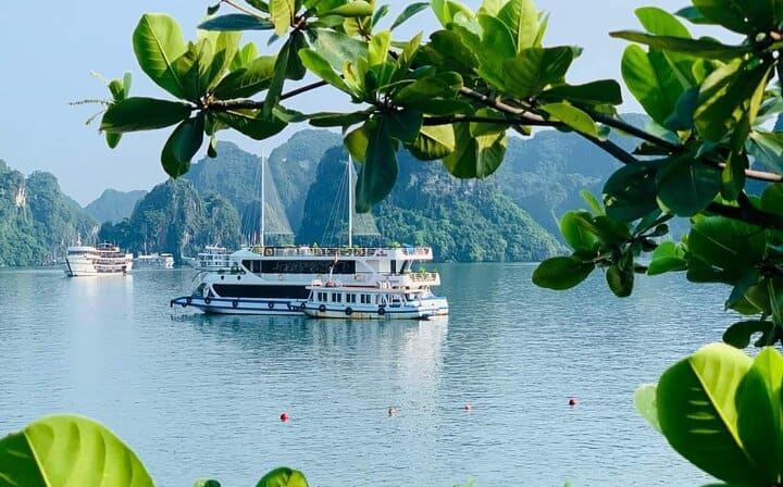 Halong Luxury Day Tour Start from Halong Bay with Meal,Cave,Beach