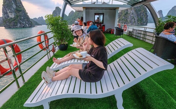 Wonder Bay Cruise Halong Day Boat Tour from Harbor (34 Paxs Max)