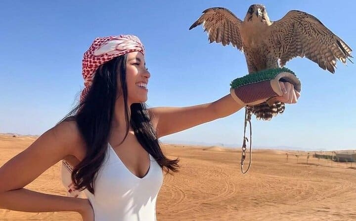 Falcon