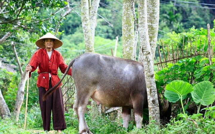 Pu Luong & Ninh Binh 3 Days Tour