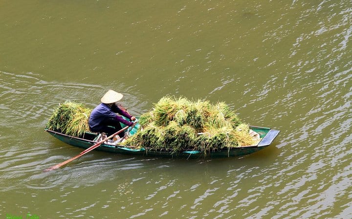 Ninh Binh Small Group Tour 1 Day From Hanoi : Hoa Lu Tam Coc Mua Cave